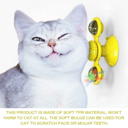 Cat Whirling LED Balls