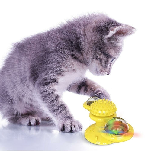 Cat Whirling LED Balls
